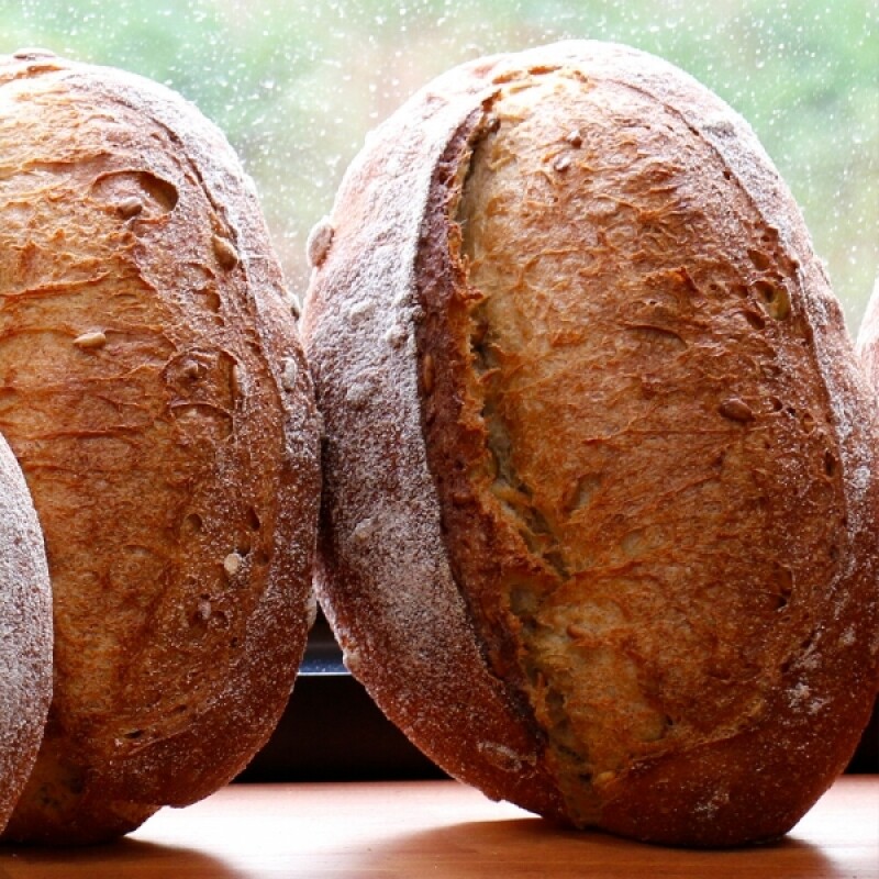 텃밭브레드,파머대디,통밀빵,통밀베이글,통밀치아바타,통밀포카치아,우리밀소금빵,우리밀통밀,우리밀빵,우리밀통밀빵,통밀빵, 치아바타, 통밀식빵, 통밀우리밀, 포카치아, 우리밀빵, 샌드위치빵, 건강빵, 비건, 식사대용